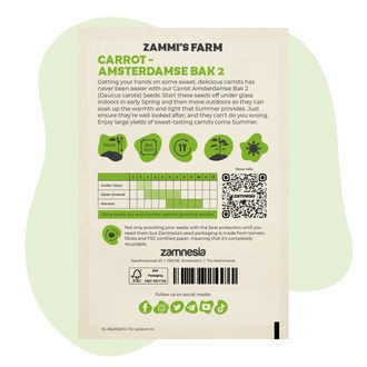 Semena mrkve Amsterdamse Bak 2 (Daucus carota)