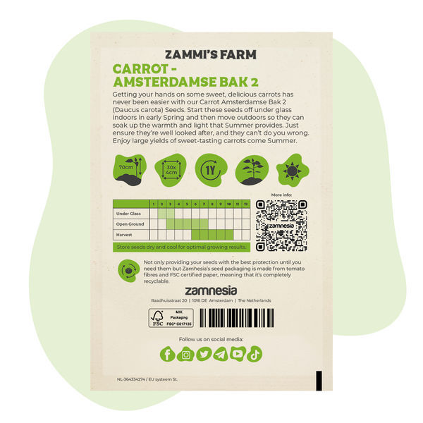 Semena mrkve Amsterdamse Bak 2 (Daucus carota)