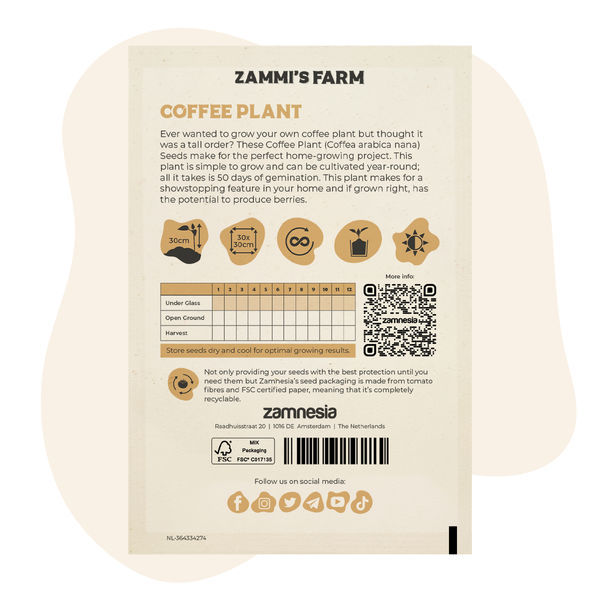 Semena kávovníku (Coffea arabica nana)