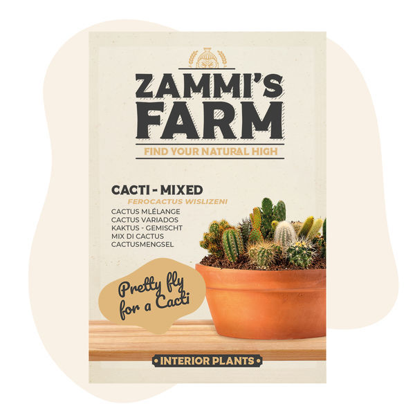 Směs kaktusů (Ferocactus wislizeni) – semena