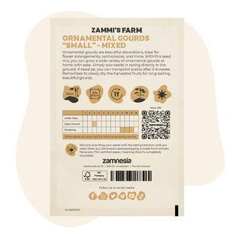 Směs semen drobných okrasných tykví