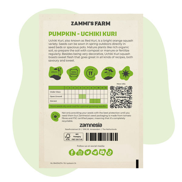 Dýně Uchiki Kuri (Cucurbita maxima) – semena