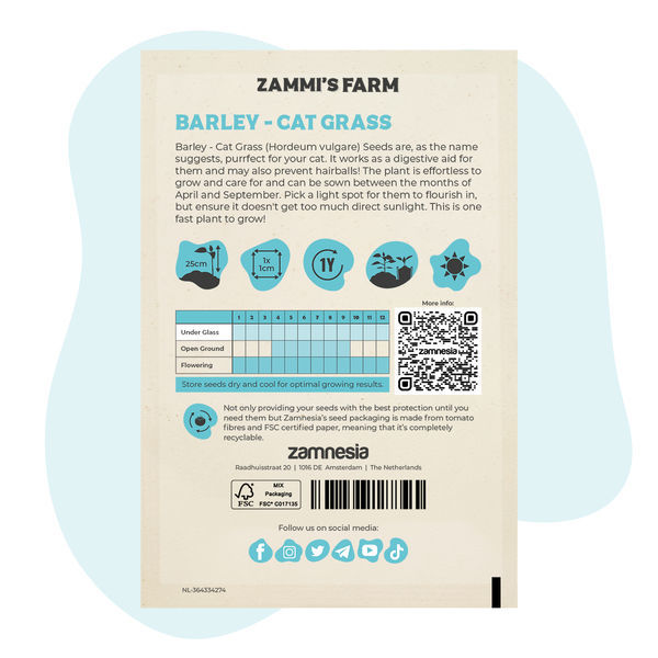 Ječmen – tráva pro kočky (Hordeum vulgare), semena