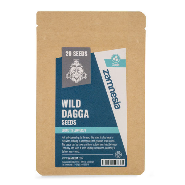 Semena wild daggy (Leonotis leonurus)