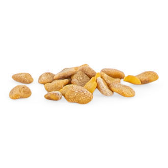 Ašvaganda (Withania somnifera) 20 semen