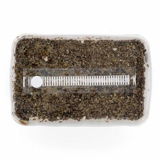 Sterilizovaná sada se substrátem