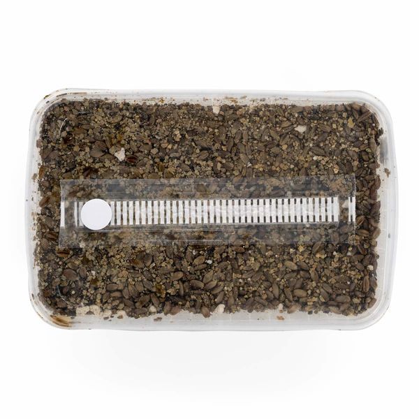 Sterilizovaná sada se substrátem