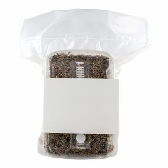 Sterilizovaná sada se substrátem