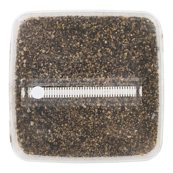 Sterilizovaná sada se substrátem