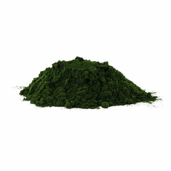 Chlorella bio prášek