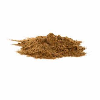 Reishi (Ganoderma lucidum) – extrakt