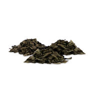 &Scaron;alvěj divotvorn&aacute;