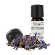 Modr&yacute; lekn&iacute;n