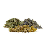 Bylinn&eacute; vapov&aacute;n&iacute;