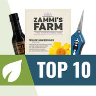 Top 10 Semena rostlin