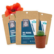 Semena psychoaktivn&iacute;ch rostlin