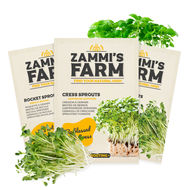 Kl&iacute;čen&iacute;