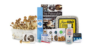 Top 5 lysohl&aacute;vek