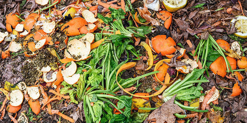 Začněte dnes použ&iacute;vat dom&aacute;c&iacute; hnojivo