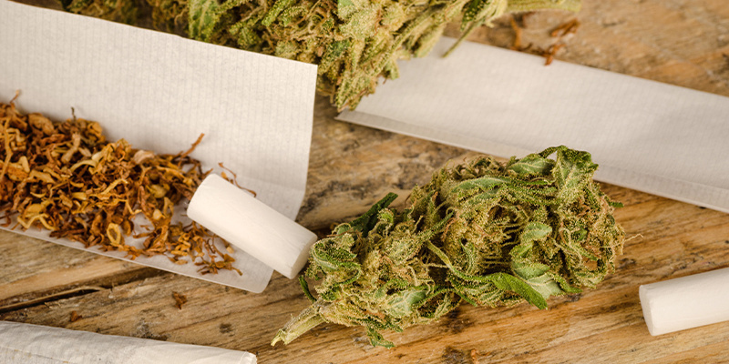 Tab&aacute;k zesiluje &uacute;činky konop&iacute;