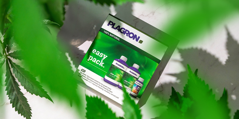 Pěstov&aacute;n&iacute; organicky: Snaz&scaron;&iacute; než kdy dř&iacute;v