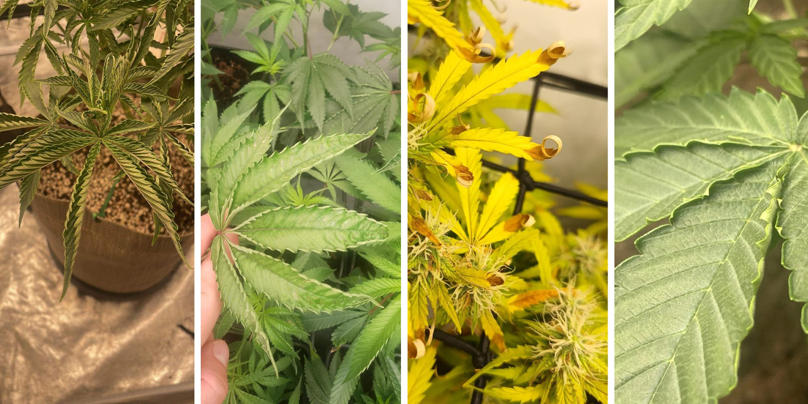 Viditeln&eacute; př&iacute;znaky, kter&eacute; je třeba rozpoznat