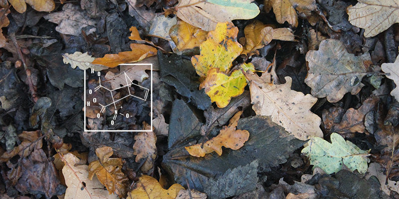 Co je huminov&aacute; kyselina?