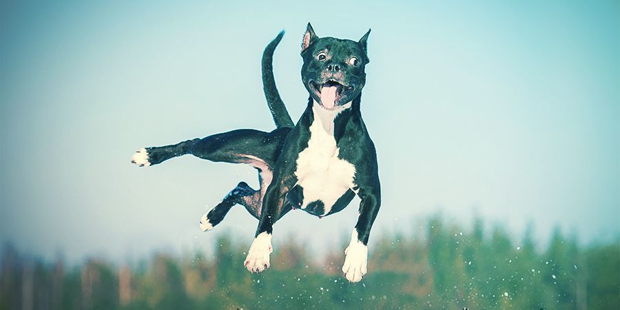 Co na to odborn&iacute;ci?