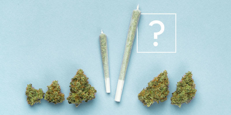 Kolik jointů ubal&iacute;te z jednoho gramu tr&aacute;vy?