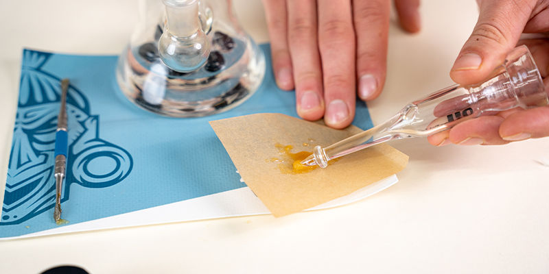 Na&scaron;e ultim&aacute;tn&iacute; př&iacute;ručka k dabov&aacute;n&iacute; je teprve zač&aacute;tek