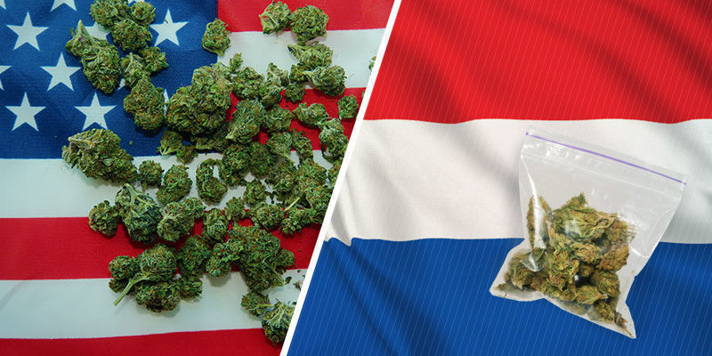 Odkud poch&aacute;z&iacute; Skunk?