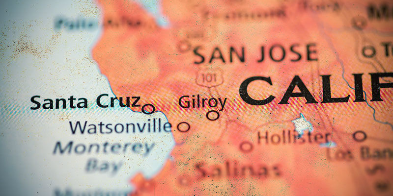 Historie odrůdy Haze konop&iacute;