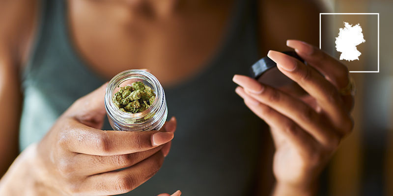 Stručn&eacute; pozad&iacute; konop&iacute; v Německu