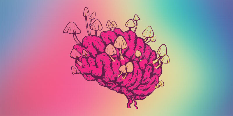 Modern&iacute; poznatky o &uacute;činc&iacute;ch lysohl&aacute;vek na mozek