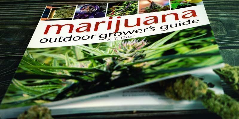 Marijuana Outdoor Grower&rsquo;s Guide