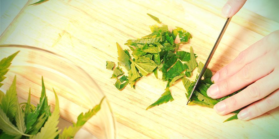 Jeden&iacute; syrov&eacute;ho konop&iacute;