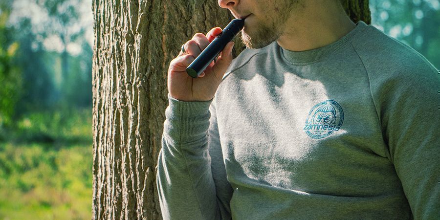 V&scaron;e, co potřebujete vědět o přenosn&yacute;ch vaporiz&eacute;rech