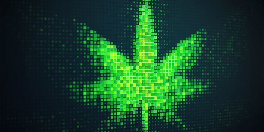 Často zkouřen&yacute;, ale nikdy neznuděn&yacute;: Internet je kuř&aacute;kův r&aacute;j