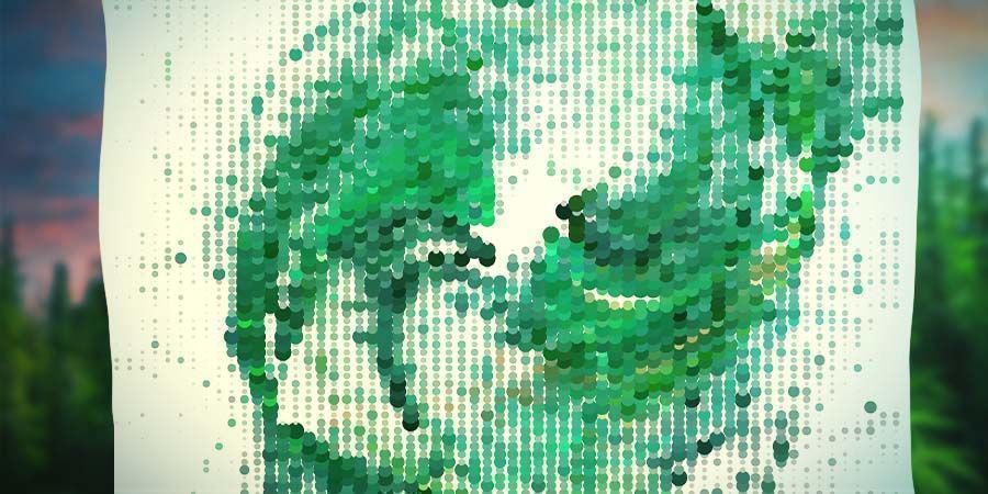 Zbytečn&eacute; weby pro zhulence