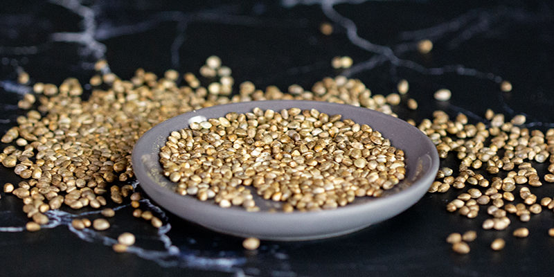 Regul&eacute;rn&iacute; semena konop&iacute;