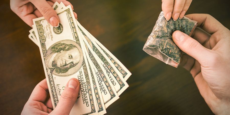 Obř&iacute; čern&yacute; trh s konop&iacute;m pro turisty v Uruguayi