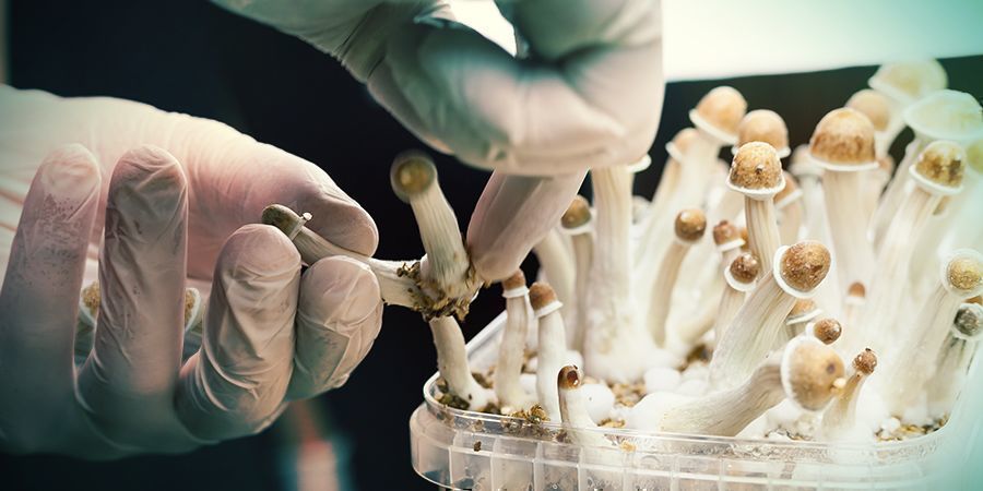 Co z toho plyne pro v&aacute;s?