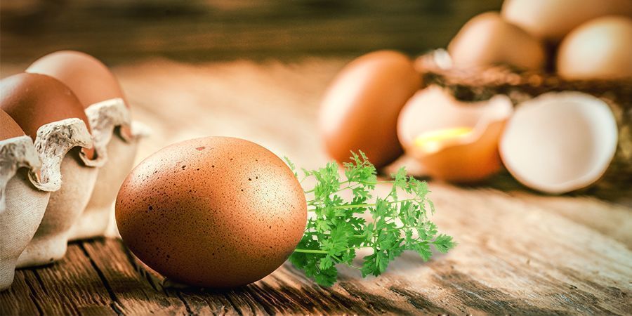 SKLIDILI JSTE KONOP&Iacute;, CO BUDE D&Aacute;L?