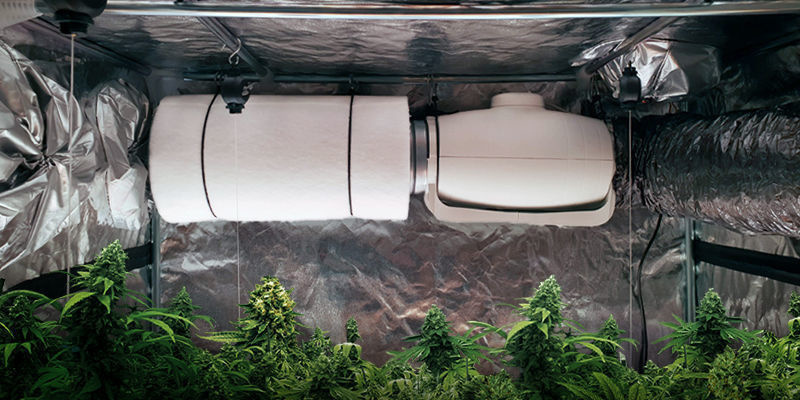 How Well Do Carbon Filters Remove The Smell?