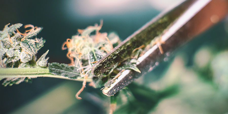 Je tak &scaron;patn&eacute; m&iacute;t ulepen&eacute; nůžky?