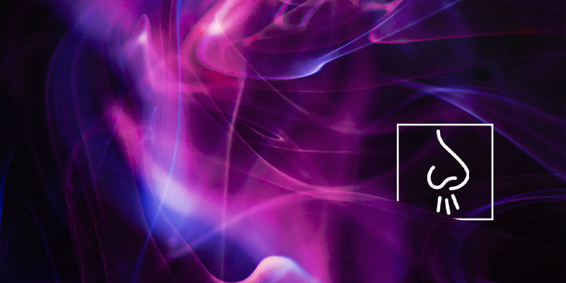 Různ&eacute; typy halucinac&iacute;: Čichov&eacute; halucinace