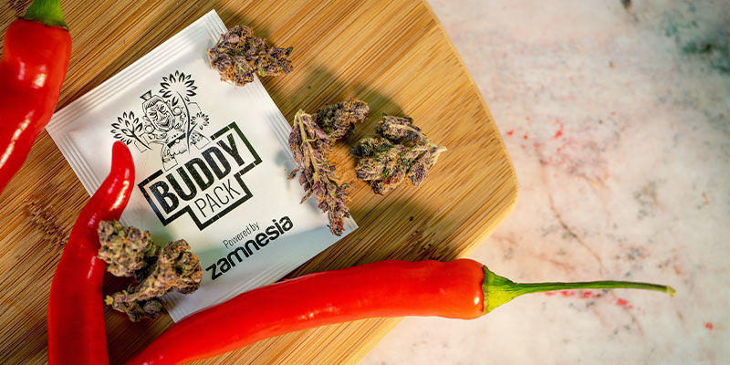 Jak použ&iacute;vat p&aacute;liv&eacute; papričky při pěstov&aacute;n&iacute; konop&iacute; s doprovodn&yacute;mi rostlinami