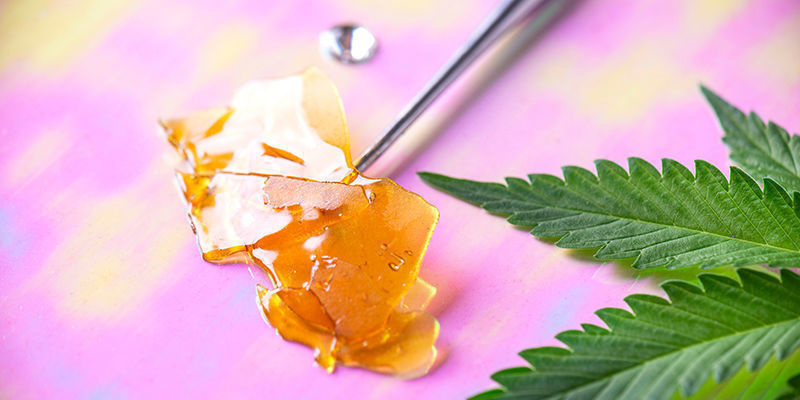 Faktory ovlivňuj&iacute;c&iacute; psychoaktivn&iacute; intenzitu konop&iacute;