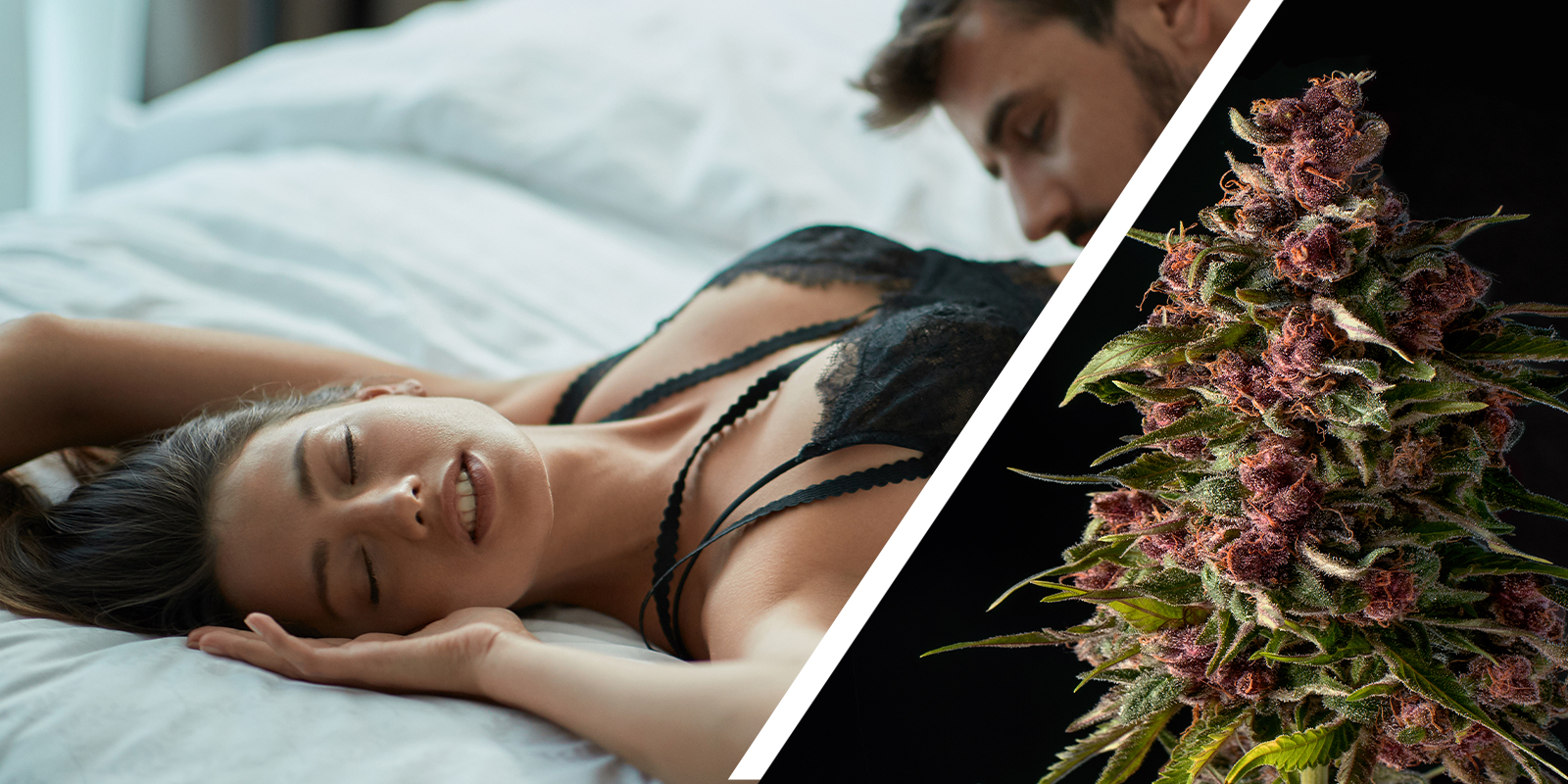 Pro zes&iacute;len&iacute; doteku a tělesn&eacute; citlivosti: Smyslov&eacute; probuzen&iacute;