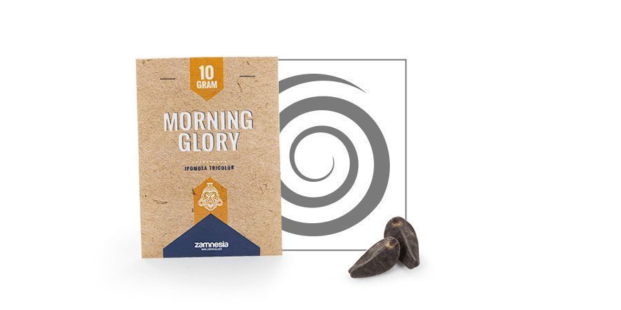 Morning Glory (Ipomoea tricolor) 10 gramů